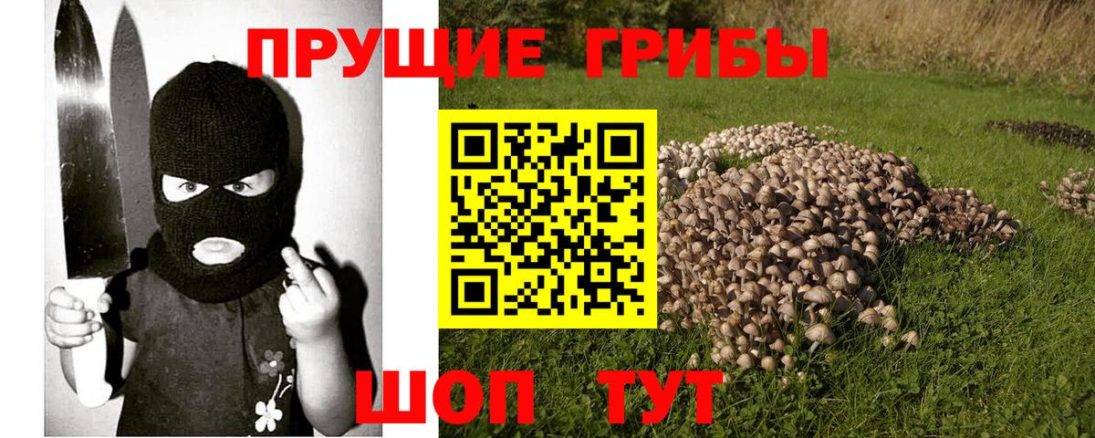 Псилоцибиновые грибы мицелий Губаха