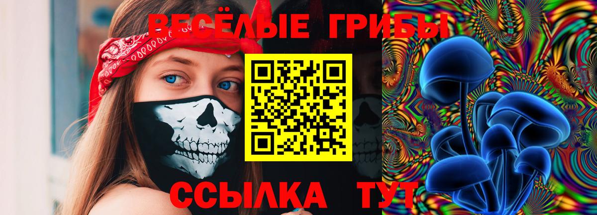 Губаха  Псилоцибиновые грибы Cubensis  Вход с VPN 